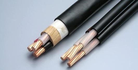 FFP-1KV 10*6 高温电力电缆